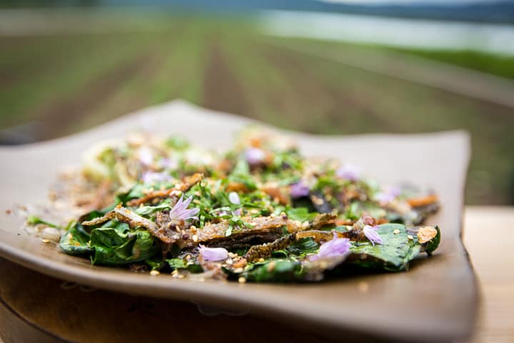 Grilled bok choy on a serving plate, sprinkled with crispy Salmon skin that has been cut into thin strips and purple chive blossom flowers
