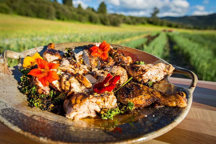 Cast Iron Spatchcocked Chicken carved up and resting on crispy grilled kale and garnished with delicate red nasturtium flowers