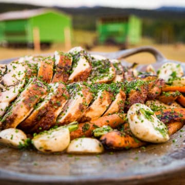 Deboned Whole Chicken carved into roulades and fanned out across grilled carrots and turnips, drizzled with a reduced chicken stock and sprinkled with fresh herbs.
