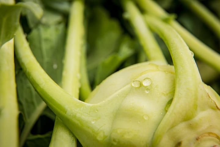 Close up look at a freshly washed Full Circle Farms Kohlrabi with water drops still on it