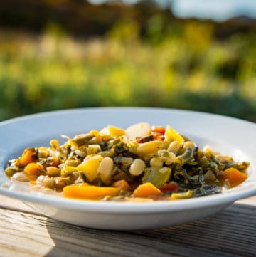 garden vegetable minestrone with enormous volume of gorgeous vegetables plated in a bowl
