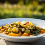 garden vegetable minestrone with enormous volume of gorgeous vegetables plated in a bowl