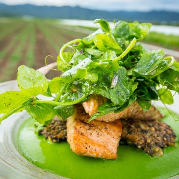 Two Grilled Lemon Salmon fillets are stacked on top of Wilted Spicy Greens and Crispy Wild Rice Pancakes. A vibrant green Garden Puree surrounds the outside in the serving platter and the dish is topped with a pea tendril salad.