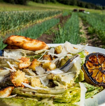 Grilled Napa Cabbage Caesar Salad with caramelized lemon, shaved parmesan and grilled bread