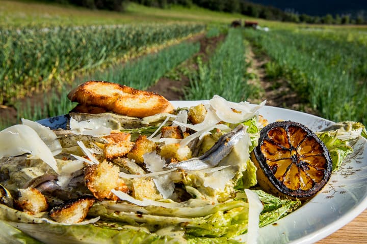 Grilled Napa Cabbage Caesar Salad with caramelized lemon, shaved parmesan and grilled bread