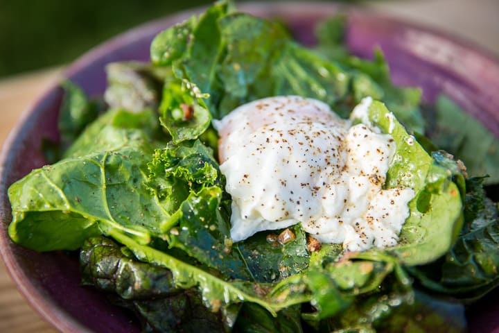 A bowl full of dark hearty greens, topped with a poached egg and drizzled with a warm bacon pan vinaigrette 