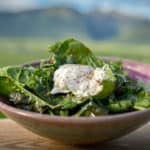 A bowl full of dark hearty greens, topped with a poached egg and drizzled with a warm bacon pan vinaigrette