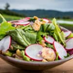 A single bowl of fresh picked tender and hearty greens topped with warmed with smoked trout, sweet Marcona almonds and a bright, herbaceous vinaigrette.