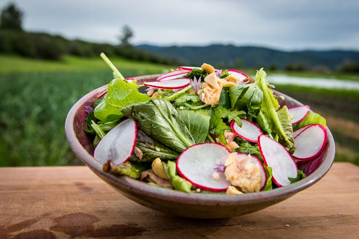 A single bowl of fresh picked tender and hearty greens topped with warmed with smoked trout, sweet Marcona almonds and a bright, herbaceous vinaigrette. 