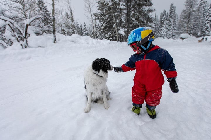 A small kid pet his dog in the parking lot after a Backcountry Curry Chicken Salad family adventure.